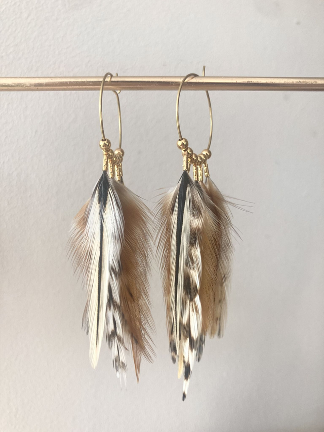 Créoles Amazone Sauvage