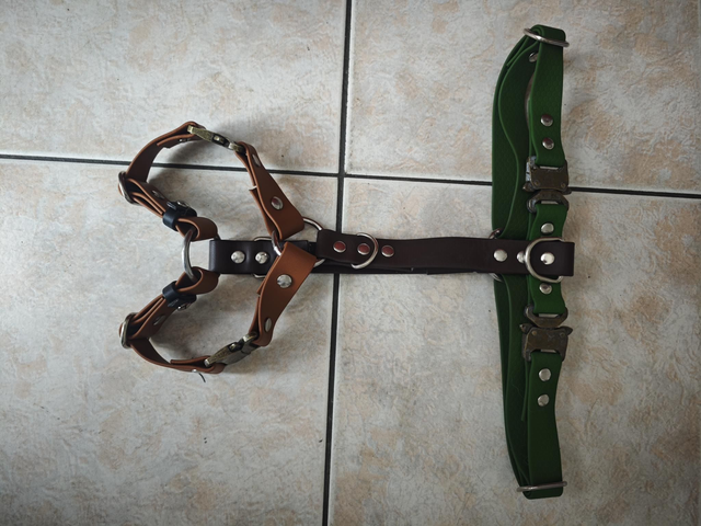 Harnais biothane, seconde main/vie !