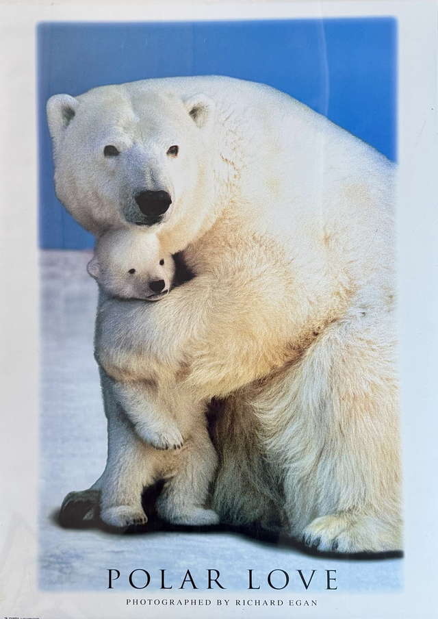 Polar Love 