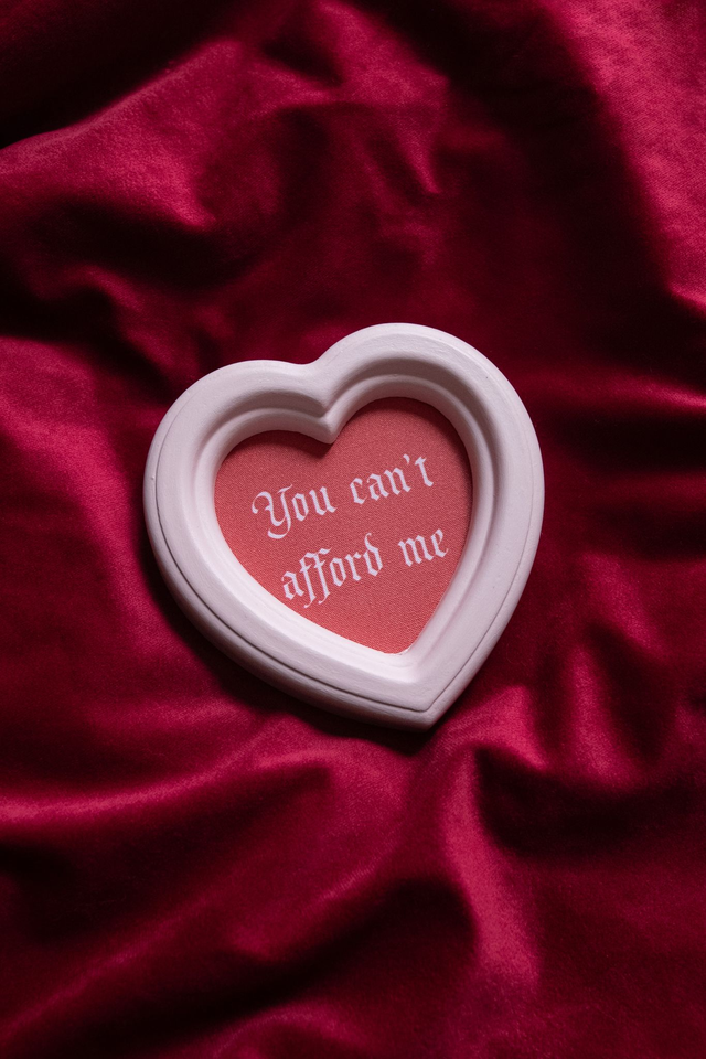 You can't afford me 🥀 Cadre upcyclé