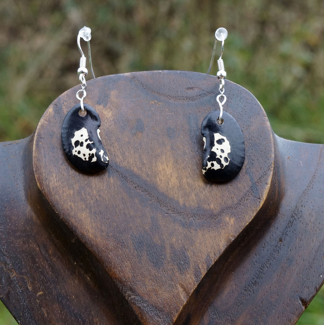 Haricots noirs et blanc avec chainette