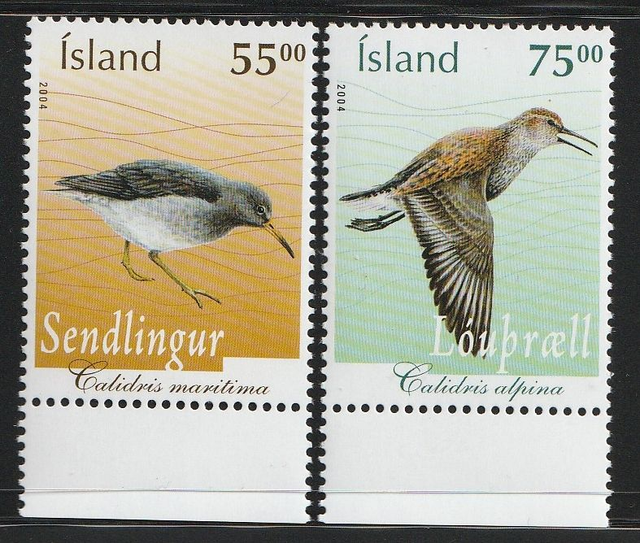 Iceland 2004 Birds Set MNH