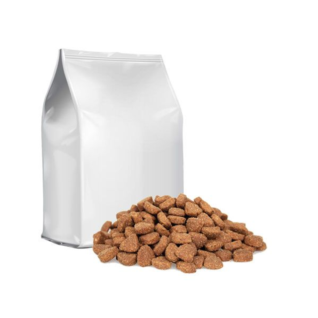 Premium kat Large XL 10kg