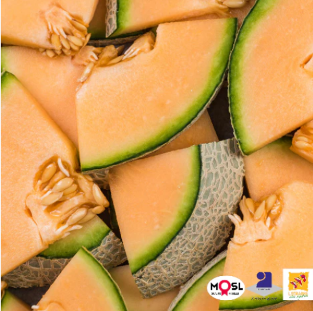 FONDANT MELON