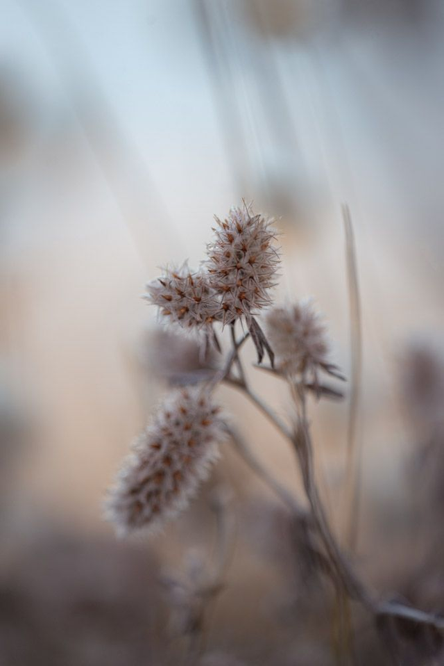 Vue sur l’océan 12