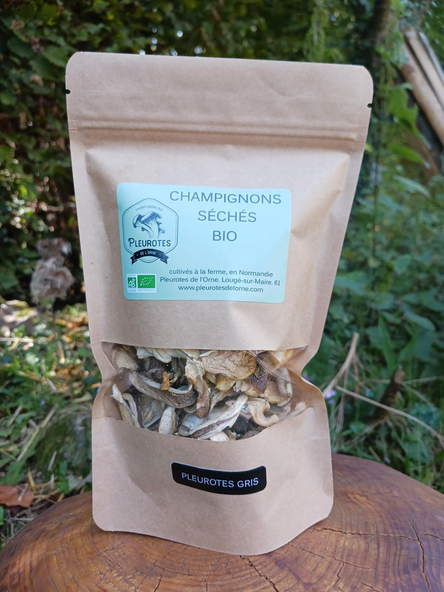 Sachet de Pleurotes séchés