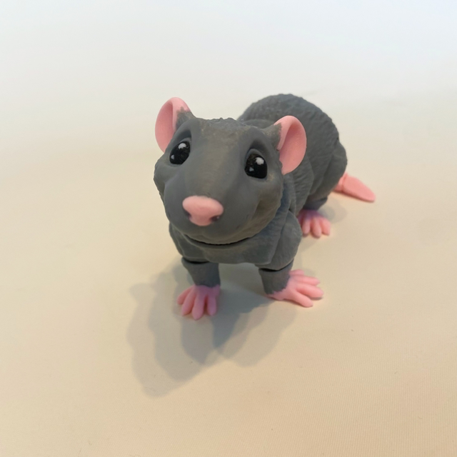 Rat
