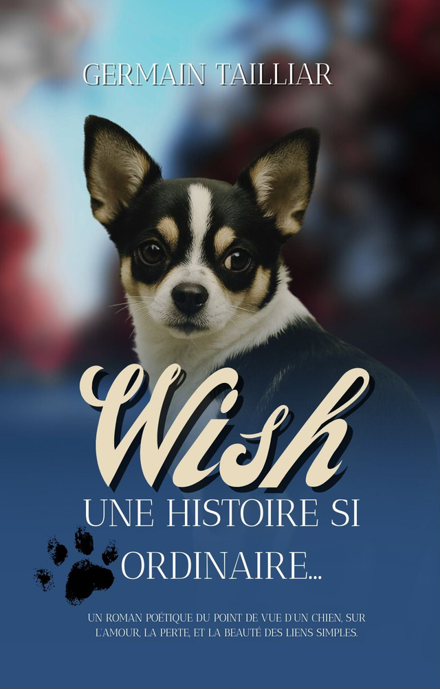 Wish - Une histoire si ordinaire - EBOOK