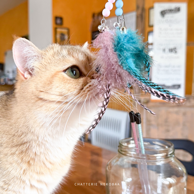 Mini plumeau extensible