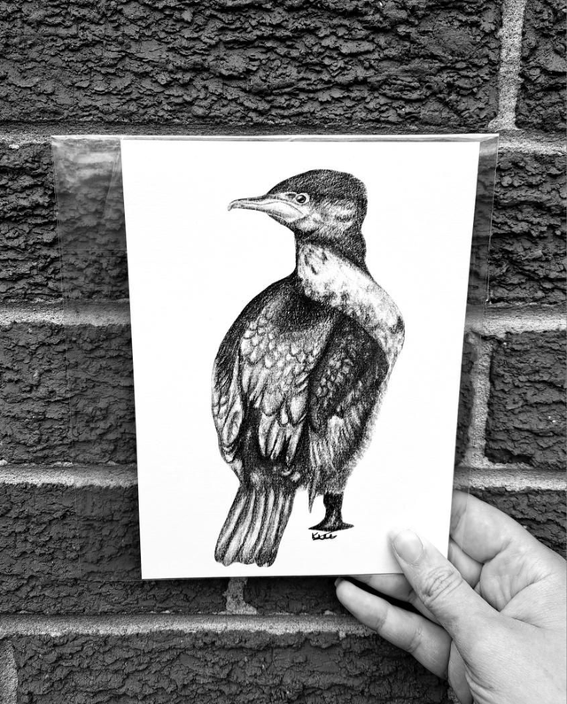 Cormorant Mini Print