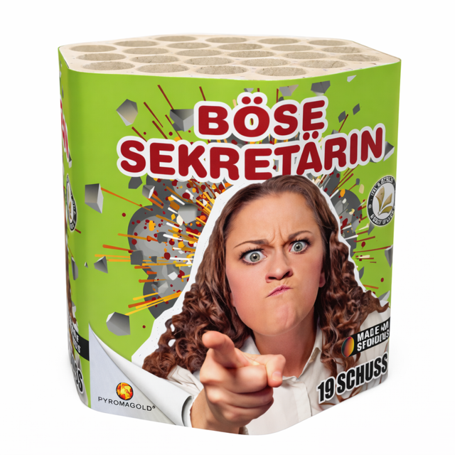 PREV033-Bose Sekretarin