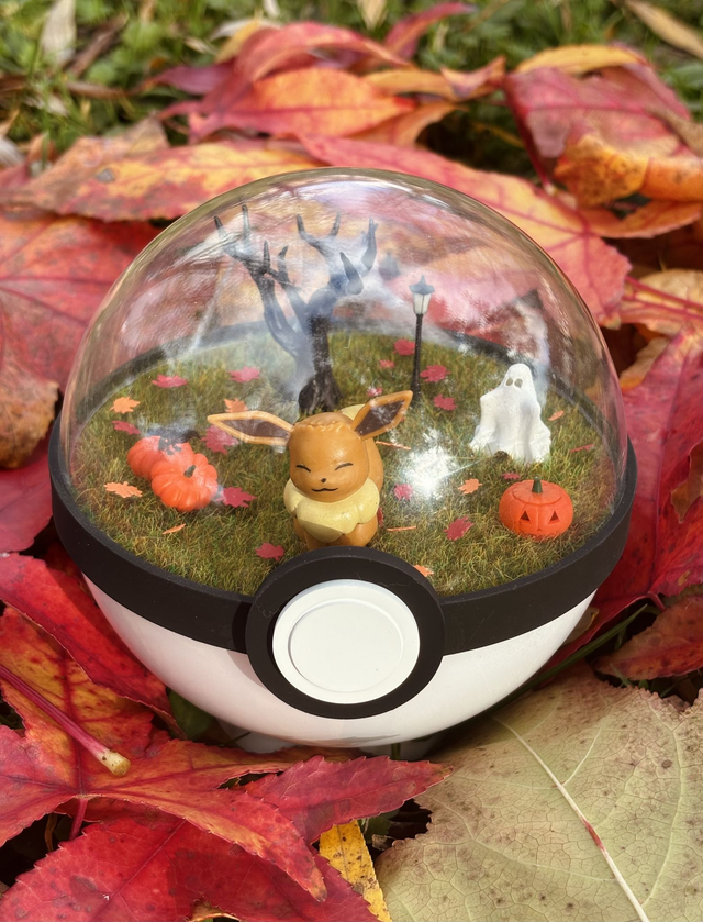 🎃 Terrarium Pokémon - Édition Halloween - Evoli