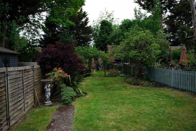 Lawn Makeover -GOLD