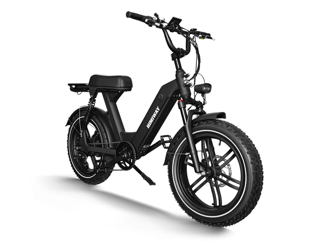 Himiway Escape Pro 20 Zoll E-Fatbike Urbanbikestyle