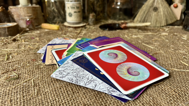 Magpie Oracle – Empowerment | 40 Curated Oracle Cards | Unique Intuitive Deck with Digital Guidebook