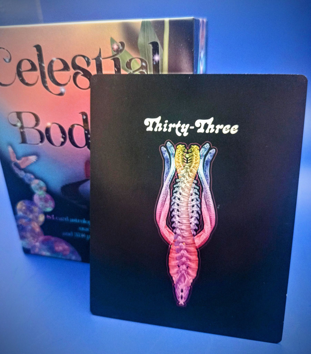 Celestial Bodies Astrology and Numerology Deck: for learners and practitioners * by Devany Amber Wolfe