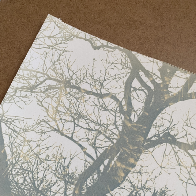 Original Bleach and Toned Cyanotype 56cm x 38cm