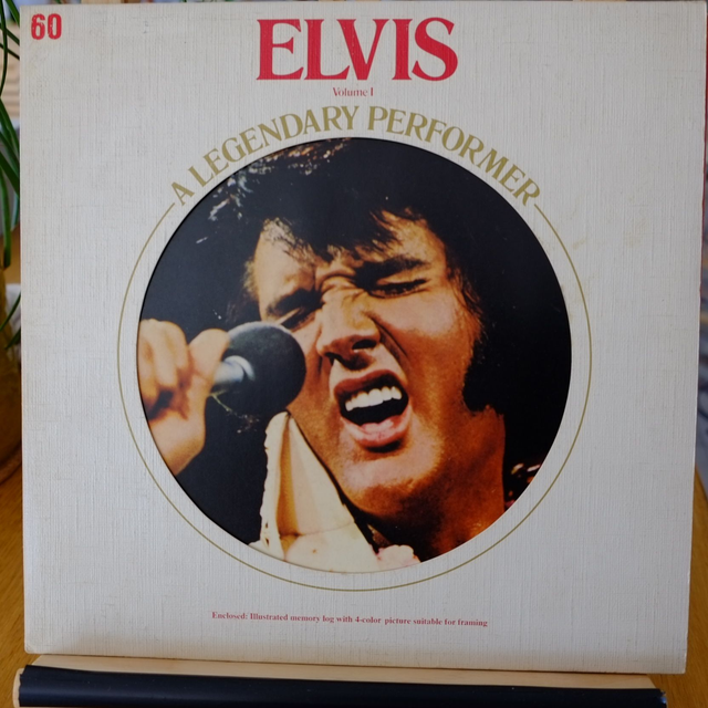 ELVIS PRESLEY - A legendary performer