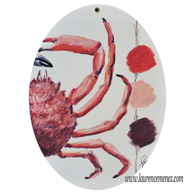 Araignée de Mer N°405