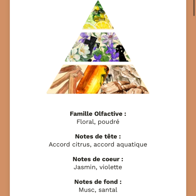 Bougie Éternelle Girly