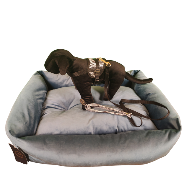 Cuccia Cesta Pauli Arbarei 