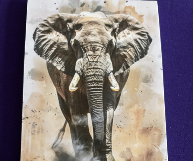 Plain Note Pad Elephant