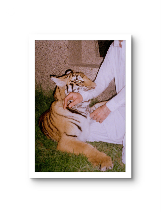 30. x 45. cm: Edition of 15/ 700 Euro