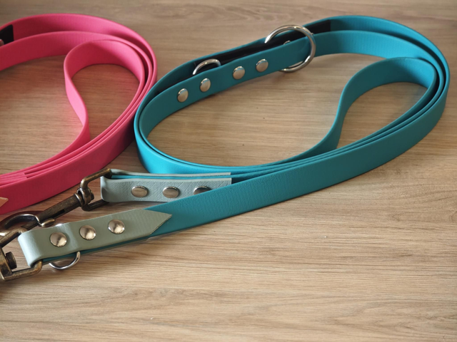 Laisse 19mm Multi position biothane