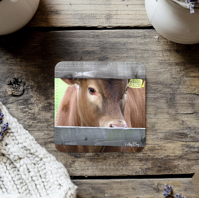 “Peeka Moo” Coaster 