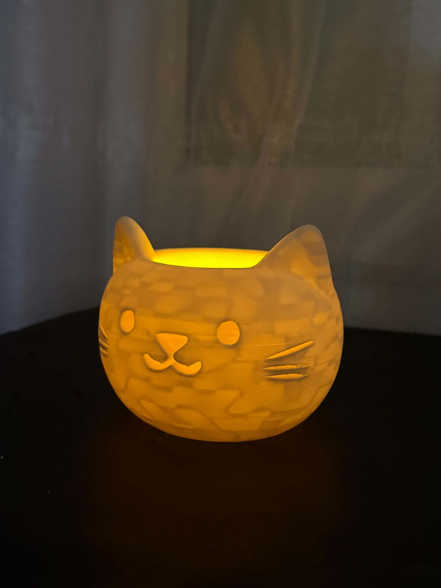 Pot Chat multifonction