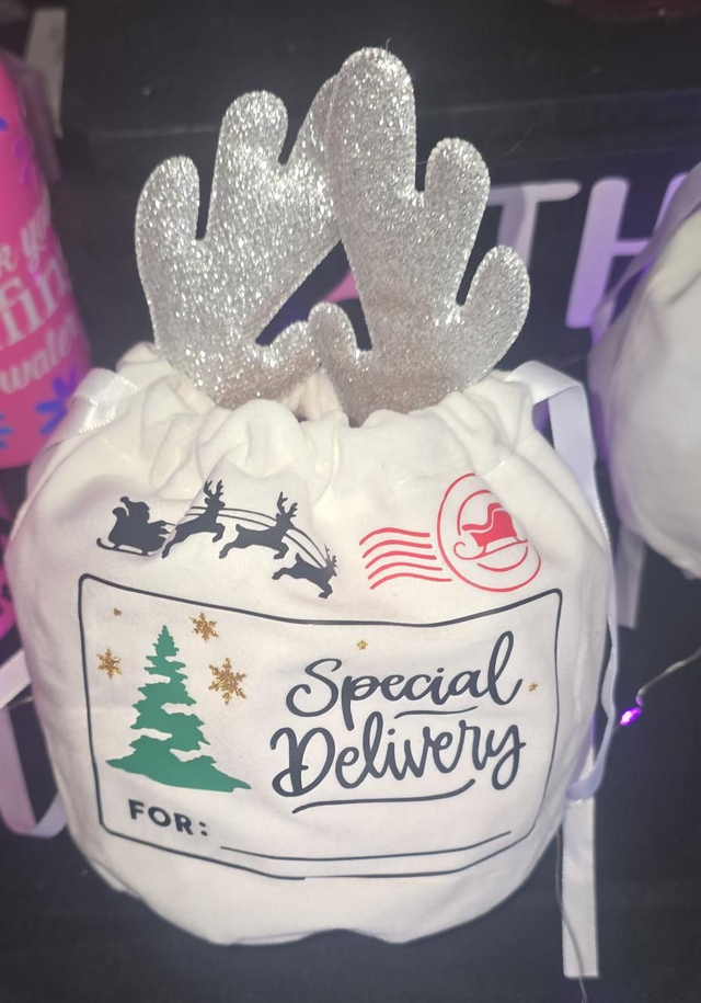 🎅 Special Delivery Mini Santa Sack