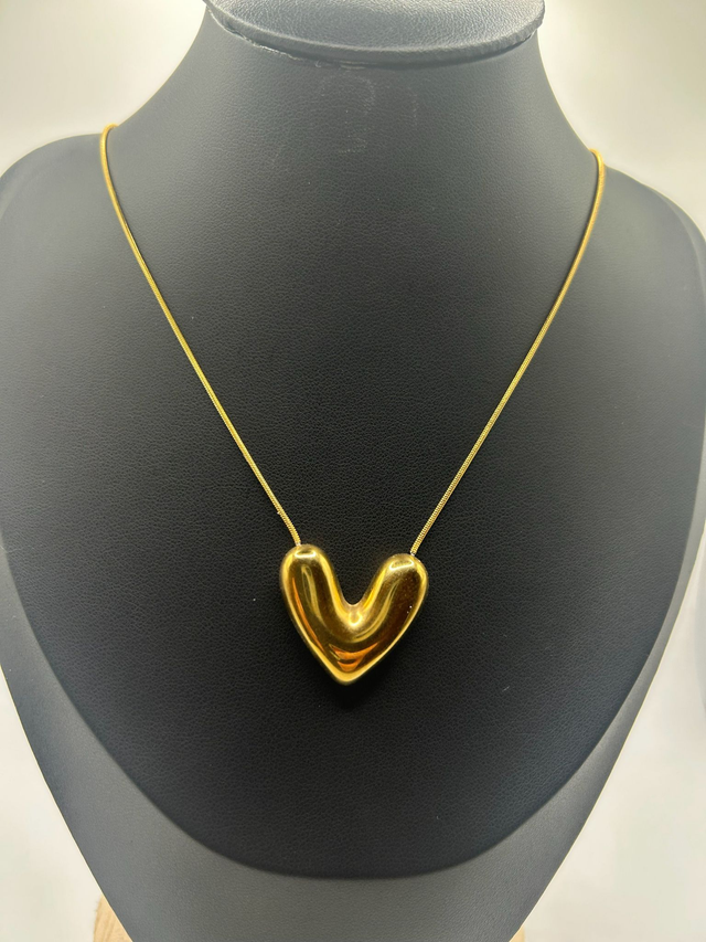 Stainless Steel Necklace (SSN138J)
