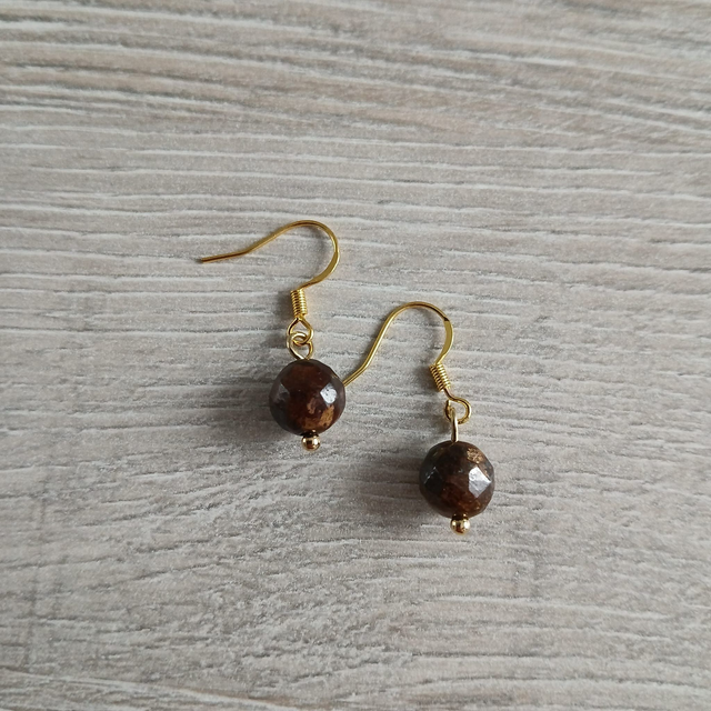 Dames oorbellen Bronziet – goudkleurig RVS (1.328)