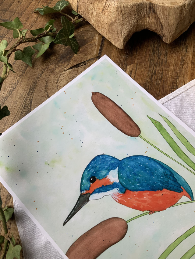 Reproduction A5 « Roi des marais »