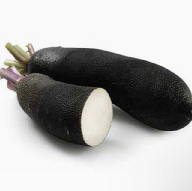 Radis noir