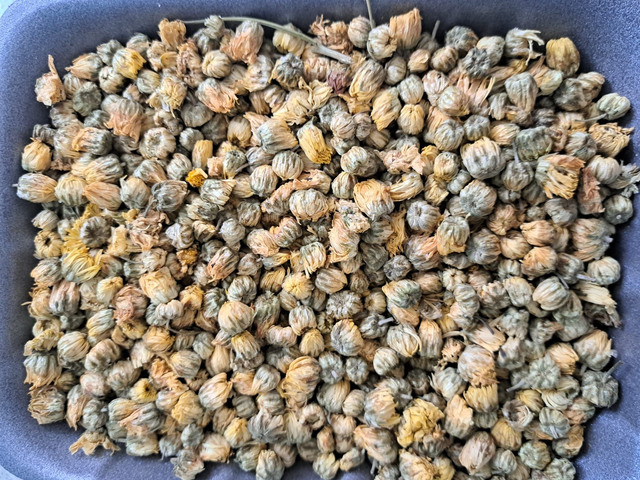 Chrysanthemum Flowers Herbal Tea