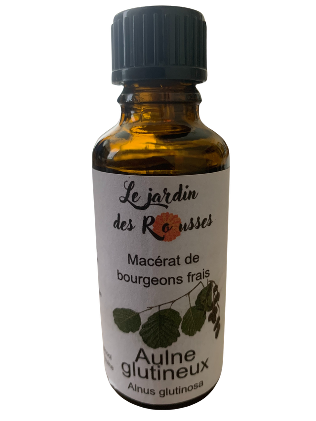AULNE GLUTINEUX - Macérât glycériné de bourgeons Flacon de 30 ml 