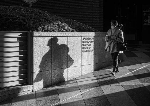 Soldier in the Shadows