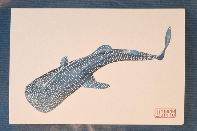 Requin baleine 2