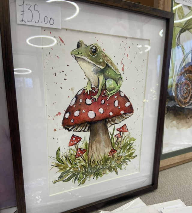 Magical Frog Framed Original A5 Artwork
