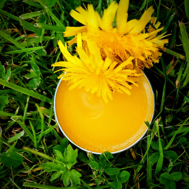 Dandelion Salve