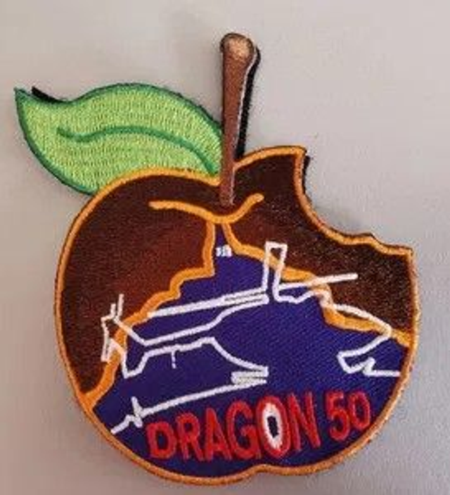 Ecusson Pomme Dragon 50 Tissu