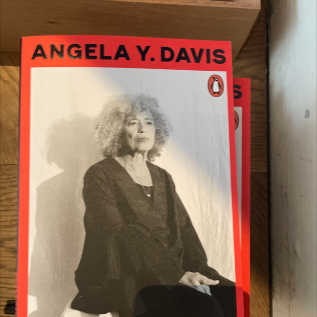 Freedom Is A Constant Struggle-Davis, Angela Y