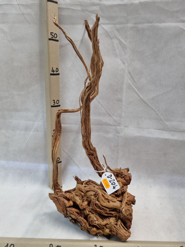 Racine Dragon Skin D-204