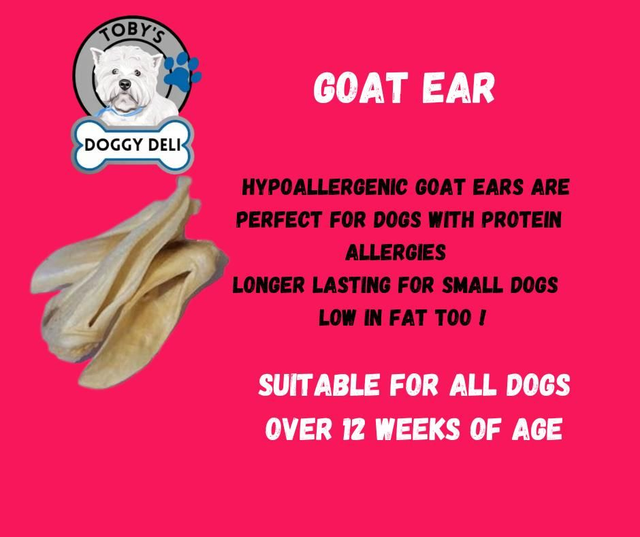 Goat Ear