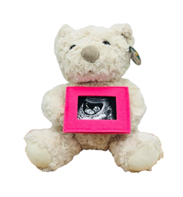 2. Teddy Bear - Pink Frame 