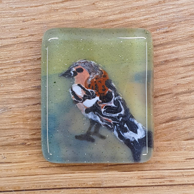 Chaffinch glass enamel badge 