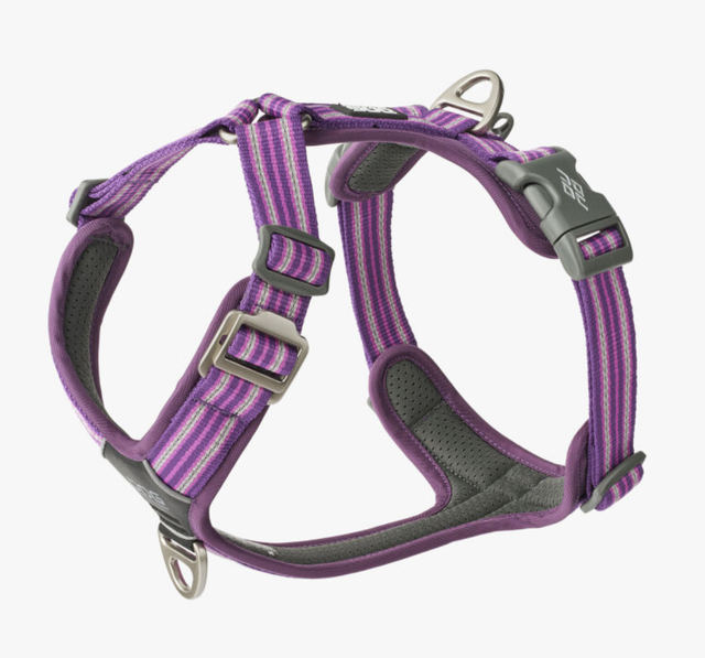 V3 Comfort Walk AIR 'Purple Passion' Geschirr von Dog Copenhagen