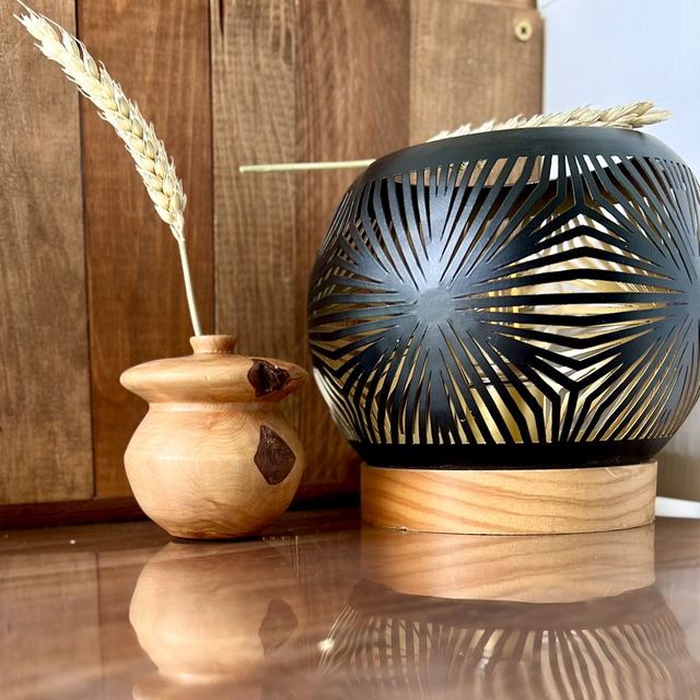 Solifore Soliflore &#039;Ancrage Corsé&#039; (Cade)