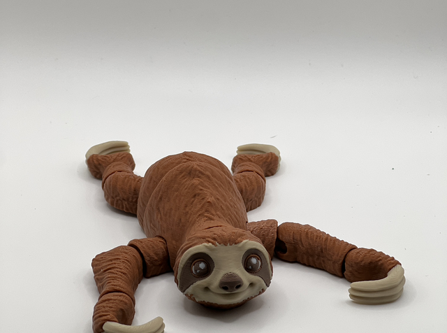 Sloth 